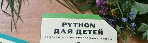 Какие книги по программированию для ребенка будут полезны